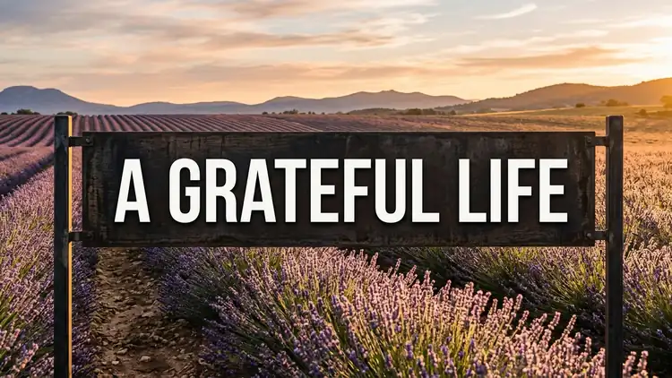 80 Healing Quotes About Grateful Life: Cultivating Joy, Presence & Somatic Peace