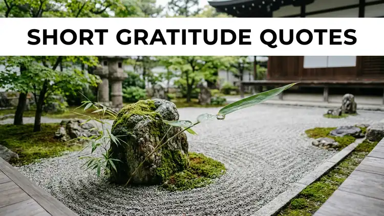 50 Short Gratitude Quotes & Daily Mantras for Grounding & Contentment